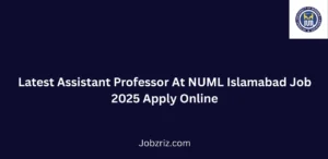 Latest Assistant Professor At NUML Islamabad Job 2025 Apply Online