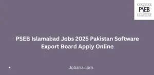 PSEB Islamabad Jobs 2025 Pakistan Software Export Board Apply Online